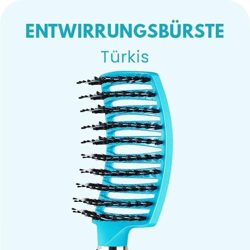 DIE ENTWIRRUNGSBÜRSTE