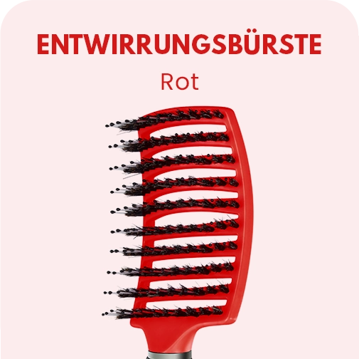 DIE ENTWIRRUNGSBÜRSTE