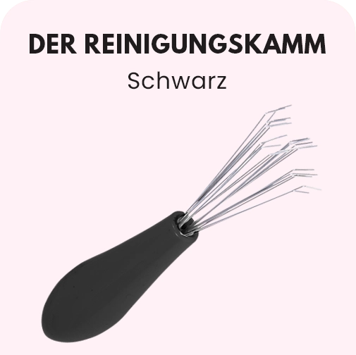 DER REINIGUNGSKAMM